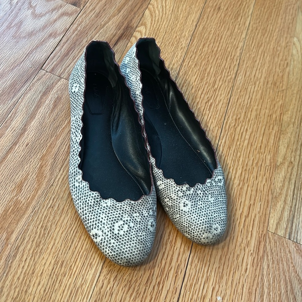 Chloe Flats Size 38.5- cute for spring